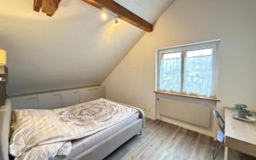Doppeleinfamilienhaus 15.5 Zimmer - image - 12