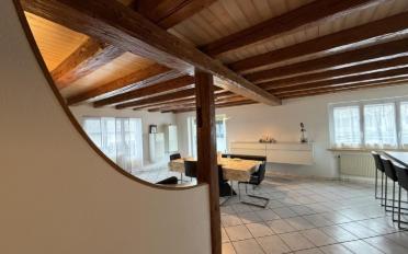 Doppeleinfamilienhaus 15.5 Zimmer - image - 4