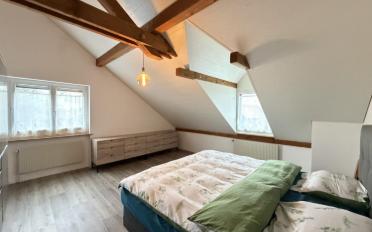 Doppeleinfamilienhaus 15.5 Zimmer - image - 13
