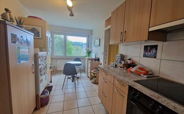 Apartment 4.5 rooms - image - 5