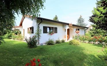 Villa 7 Zimmer - image - 3
