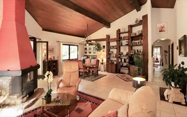 Villa 7 Zimmer - image - 6