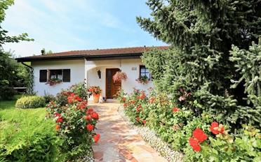 Villa 7 Zimmer - image - 2