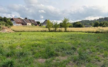 Building land - image - 1
