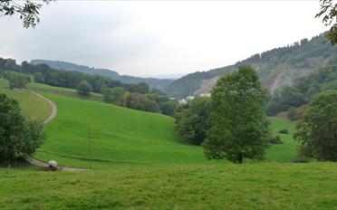 Single house - image - 2