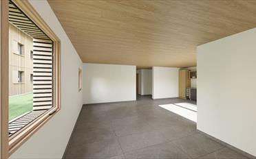 Wohnung 3.5 Zimmer - image - 2
