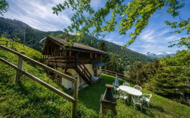 Chalet 4.5 Zimmer - image - 8