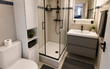 Wohnung 2.5 Zimmer - image - 13
