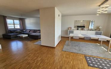 Attic flat 6 rooms - image - 4
