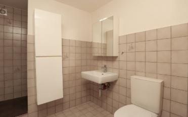 Villa 6.5 pièces - image - 7