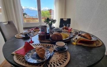 Wohnung 2.5 Zimmer - image - 1