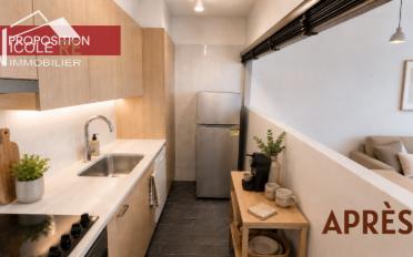 Wohnung 2.5 Zimmer - image - 4