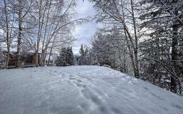 Chalet 6 Zimmer - image - 3