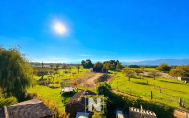 Appartement 4.5 pièces - image - 13