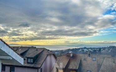 Wohnung 3.5 Zimmer - image - 1