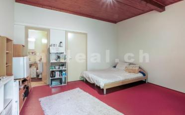 Mixed use property 4.5 rooms - image - 13