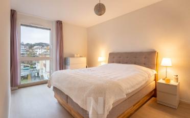 Wohnung 2.5 Zimmer - image - 5
