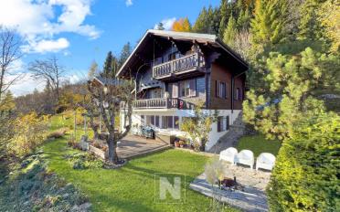 Chalet 7 pièces - image - 2