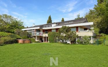 Villa 9 Zimmer - image - 1