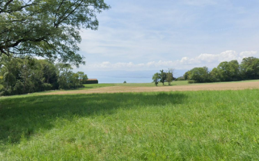 Villa 7.5 pièces - image - 4