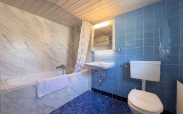 Maison 10 pièces - image - 10