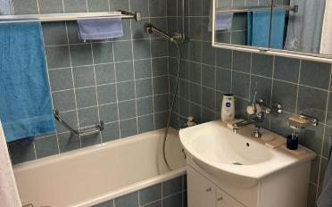 Dachwohnung 2.5 Zimmer - image - 7