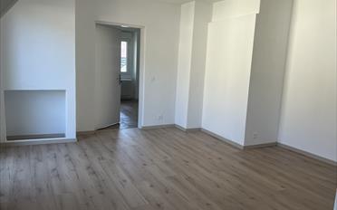 Wohnung 2.5 Zimmer - image - 3