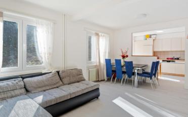 Wohnung 4.5 Zimmer - image - 2