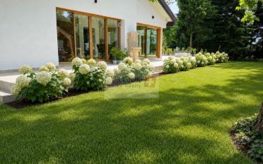 Einfamilienhaus 10 Zimmer - image - 4