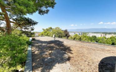 Villa 8 Zimmer - image - 8