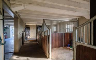 Einfamilienhaus 14 Zimmer - image - 8