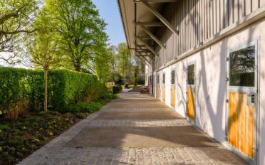 Einfamilienhaus 14 Zimmer - image - 5