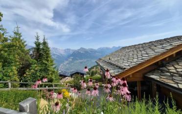 Chalet 6.5 pièces - image - 2