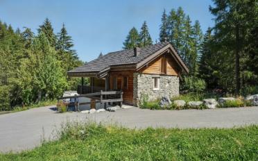 Chalet 4.5 Zimmer - image - 1