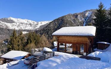 Chalet 10 Zimmer - image - 9