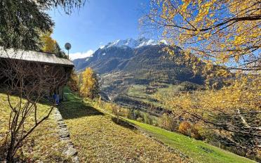 Chalet 4 Zimmer - image - 9