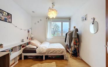 Wohnung 4.5 Zimmer - image - 10