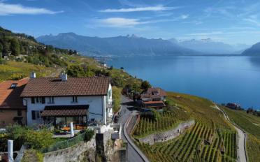 Villa 7 Zimmer - image - 2