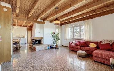 Single house 11.5 rooms - image - 2