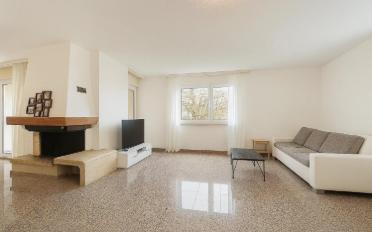 Single house 11.5 rooms - image - 5