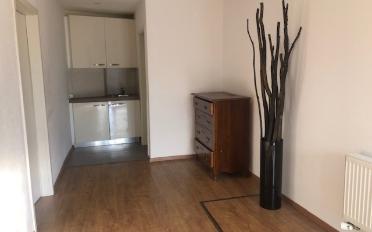 Single house 5.5 rooms - image - 6