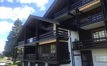 Duplex 3.5 rooms - image - 1