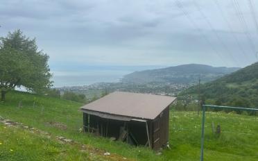 Chalet 5 rooms - image - 5