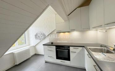 Attic flat 5 rooms - image - 1