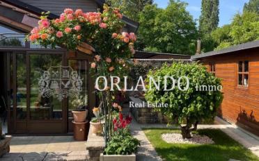 Einfamilienhaus 9.5 Zimmer - image - 5