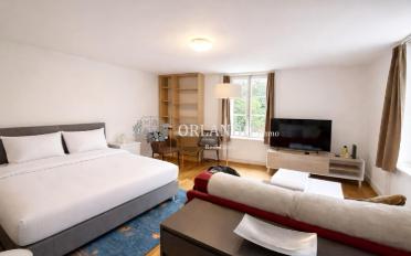 Furnished flat 2.5 rooms - image - 1
