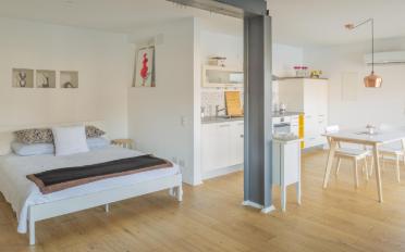 Loft 1.5 pièces - image - 5