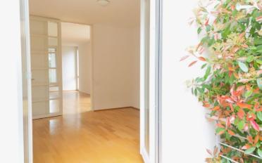 Wohnung 3.5 Zimmer - image - 2