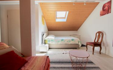 Wohnung - image - 14