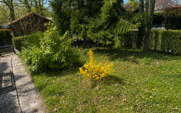 Maison jumelée 6 pièces - image - 9